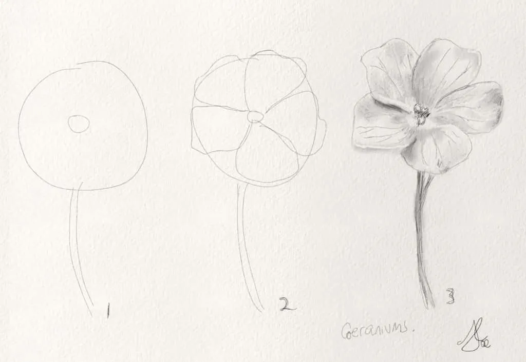 How To Draw Flower Easy // Beautiful Flower Drawing // Easy Flower Drawing  // Pencil Sketching | Easy flower drawings, Flower sketches, Flower drawing