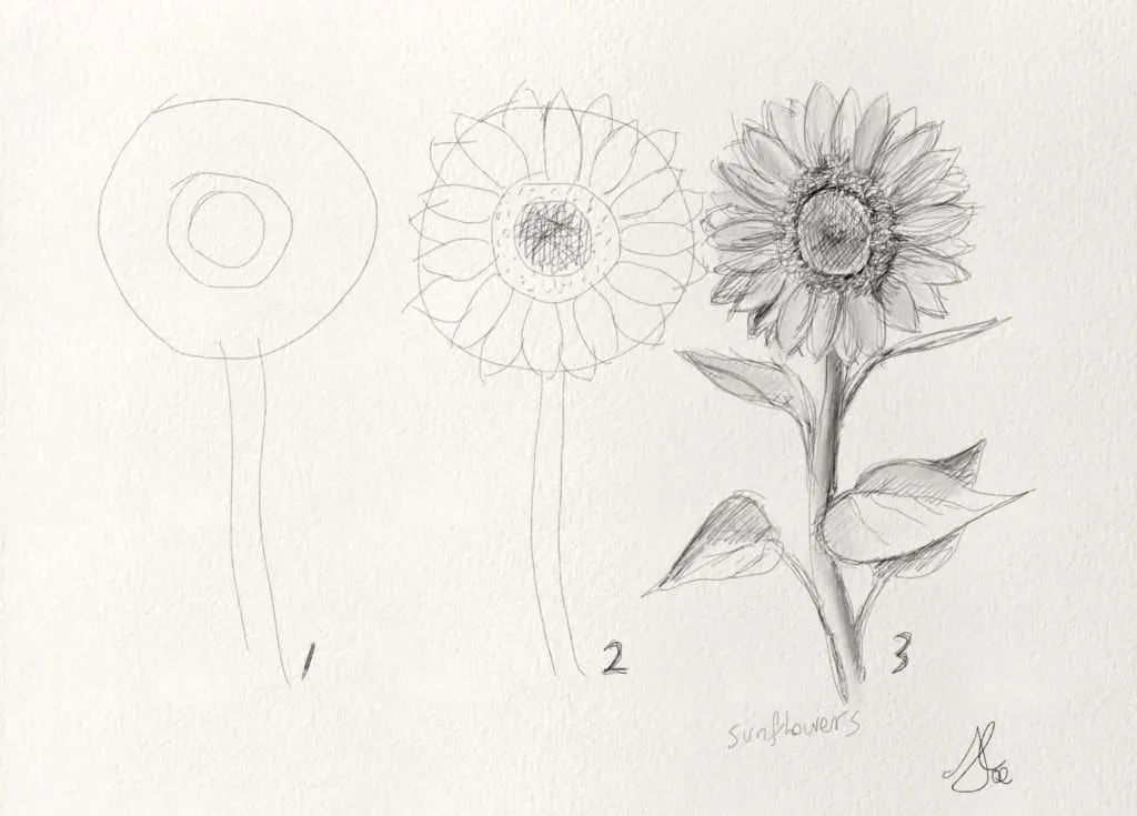 Easy Flower Pencil Drawings For Inspiration...... : r/drawing